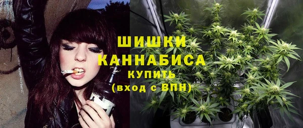 ГАЛЛЮЦИНОГЕННЫЕ ГРИБЫ Абаза