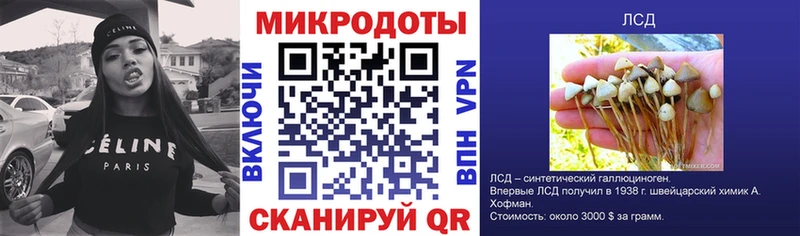 omg ТОР  Бийск  Псилоцибиновые грибы ЛСД 