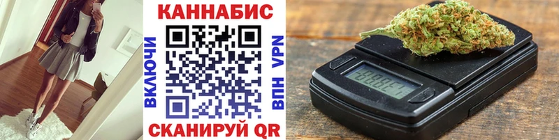 где продают   Бийск  Каннабис сатива 